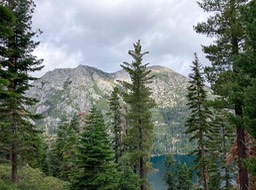 IMG_8605