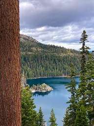IMG_8613-2