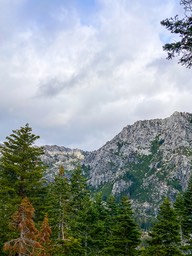 IMG_8614