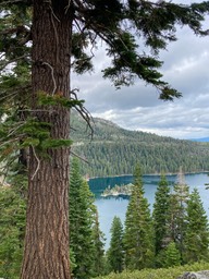 IMG_8615
