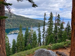IMG_8616