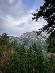 IMG_8617