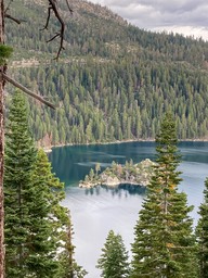 IMG_8620