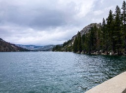 IMG_8623