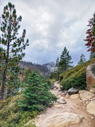 IMG_8624