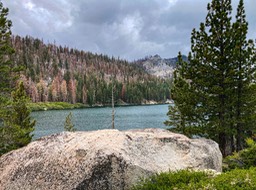 IMG_8626