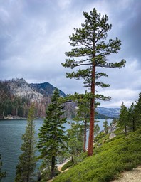 IMG_8631