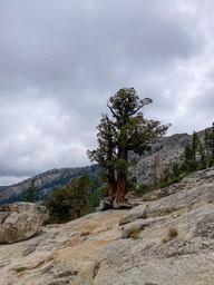 IMG_8633