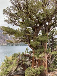 IMG_8635