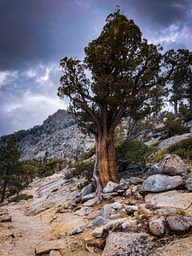 IMG_8636