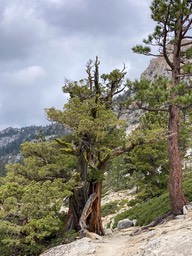 IMG_8638