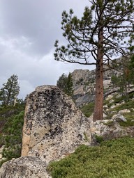 IMG_8647