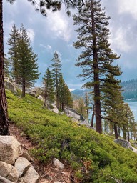 IMG_8652