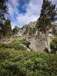 IMG_8654