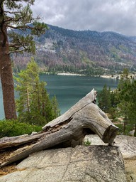 IMG_8663