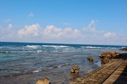 IMG_8693