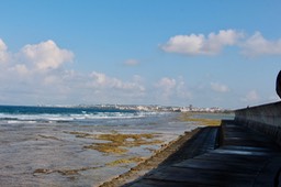 IMG_8706