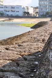 IMG_8713