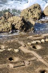 IMG_8740