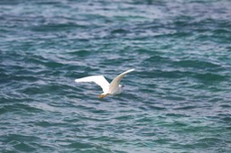IMG_8792