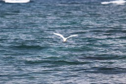IMG_8795