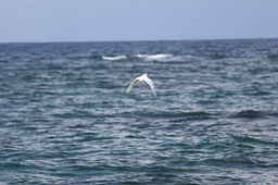 IMG_8796