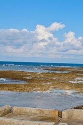 IMG_8847