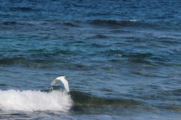 IMG_8894