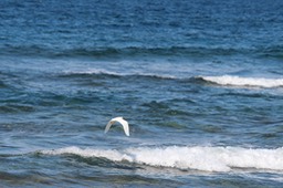 IMG_8895