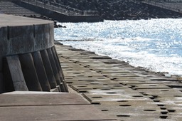 IMG_8901
