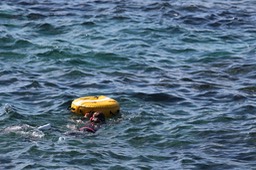 IMG_8915