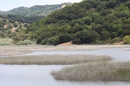 IMG_9077