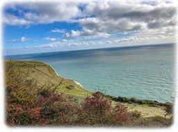 IMG_9089
