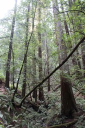 IMG_9153.jpg