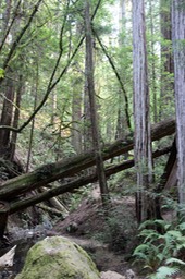 IMG_9160.jpg