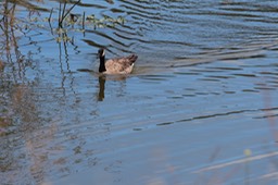 IMG_9166.jpg