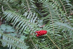 IMG_9170.jpg
