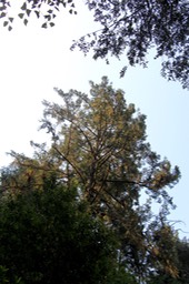 IMG_9174.jpg