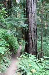 IMG_9175.jpg
