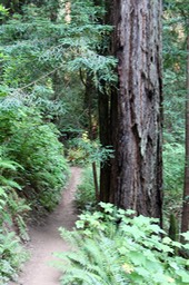 IMG_9176.jpg