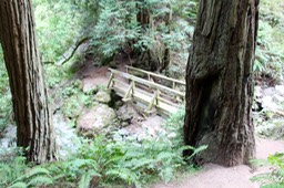 IMG_9177.jpg