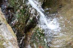 IMG_9183.jpg
