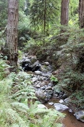 IMG_9186.jpg