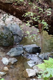 IMG_9189.jpg