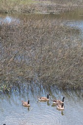 IMG_9192.jpg
