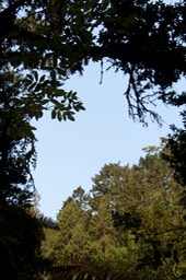 IMG_9204.jpg
