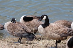 IMG_9207.jpg
