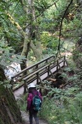 IMG_9208.jpg