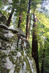IMG_9215.jpg