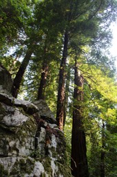 IMG_9216.jpg